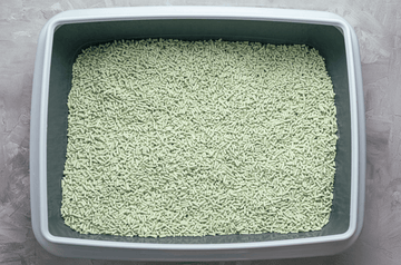 Finding the Best Tofu Cat Litter: Simplifying Eco-Friendly Cat Care