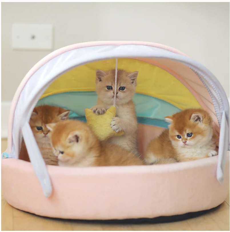 Rainbow Cat Bed