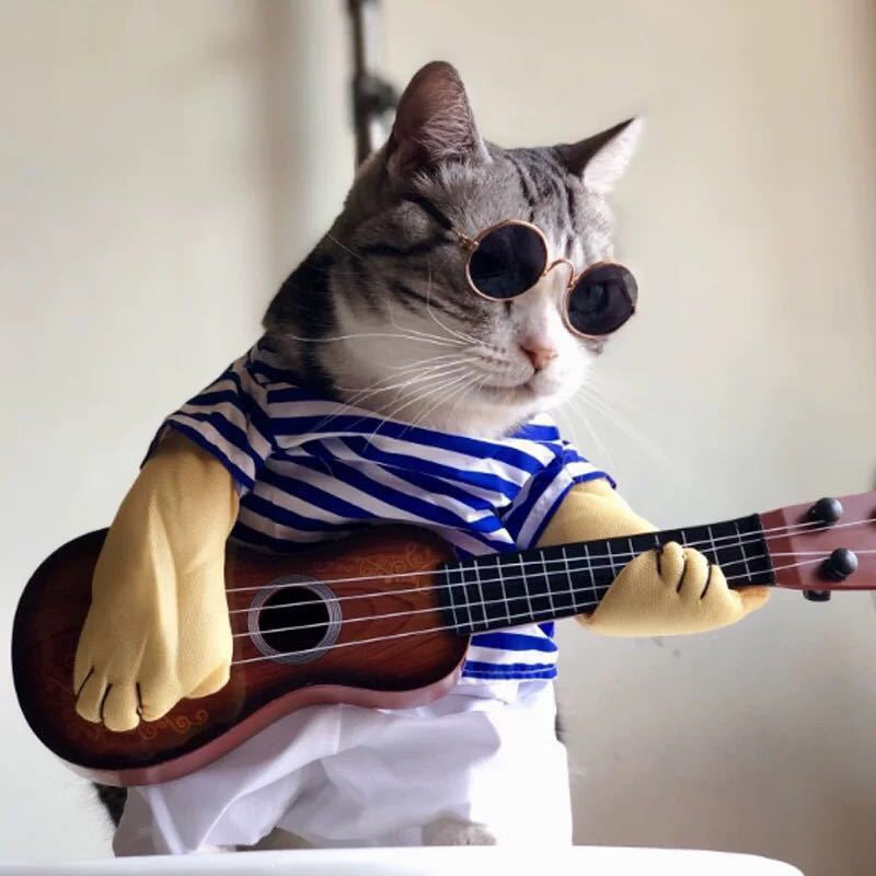 Pet Glasses